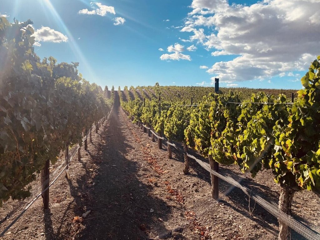 SANTA YNEZ, California, 93460, United States, ,Land,Forsale,1985949