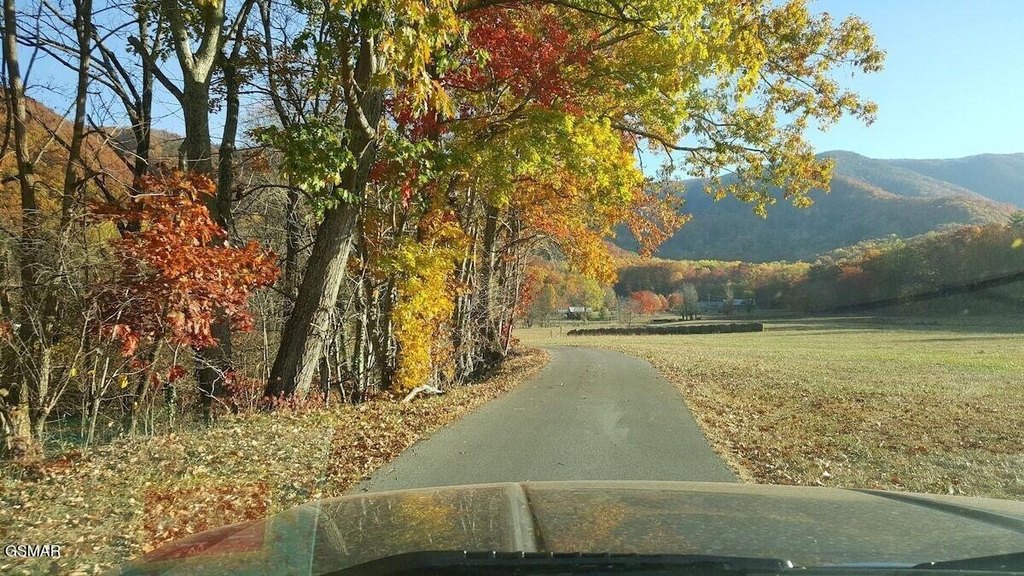 Sevierville, Tennessee, 37862, United States, 3 Bedrooms Bedrooms, ,3 BathroomsBathrooms,Residential,Forsale,1910187