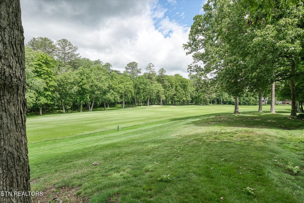 Fairfield Glade, Tennessee, 38558, United States, 3 Bedrooms Bedrooms, ,3 BathroomsBathrooms,Residential,Forsale,1907853