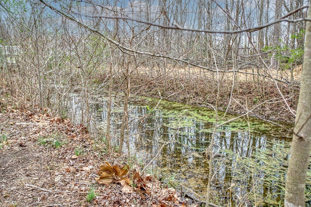 Cookeville, Tennessee, 38506, United States, 3 Bedrooms Bedrooms, ,2 BathroomsBathrooms,Residential,Forsale,2010951