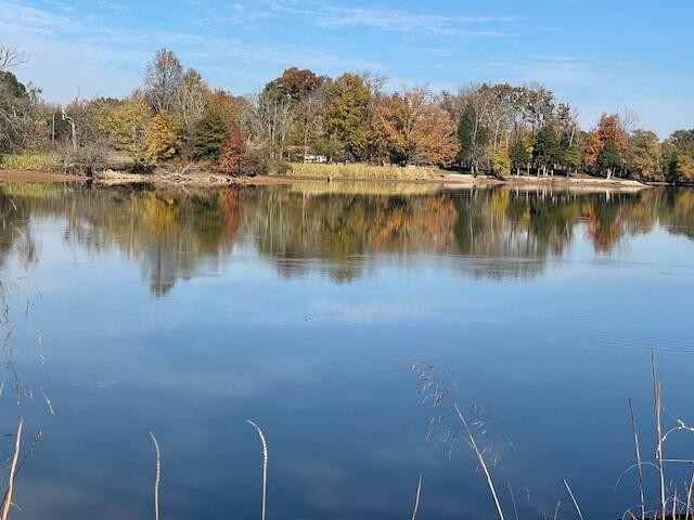 Dayton, Tennessee, 37321, United States, ,Residential,Forsale,2009518