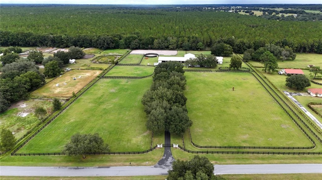 MORRISTON, Florida, 32668, United States, 5 Bedrooms Bedrooms, ,3 BathroomsBathrooms,Residential,Forsale,1969792