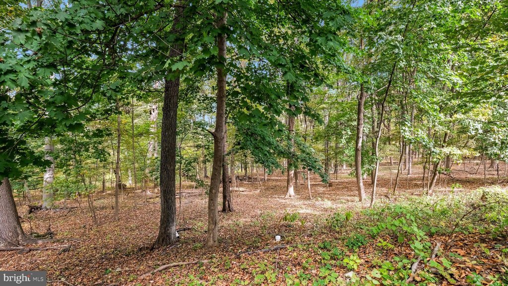 FURLONG, Pennsylvania, 18925, United States, 3 Bedrooms Bedrooms, ,2 BathroomsBathrooms,Residential,Forsale,1973393