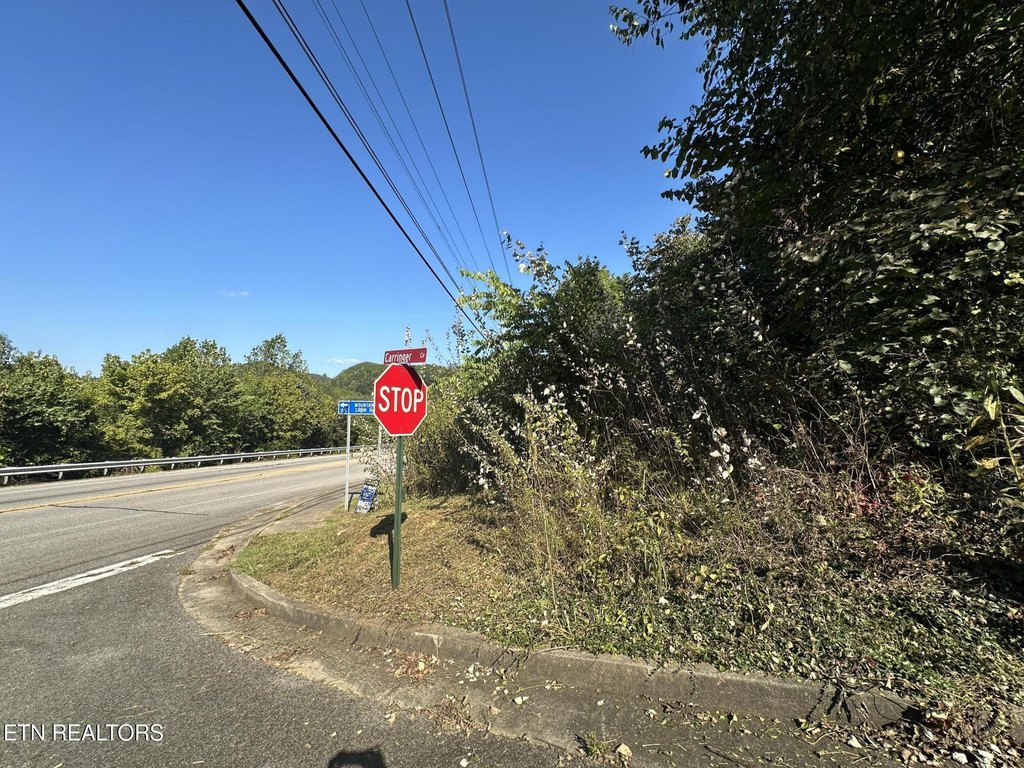 Tellico Plains, Tennessee, 37385, United States, ,Land,Forsale,1996595