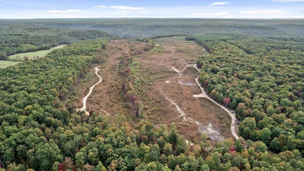 Spencer, Tennessee, 38585, United States, ,Land,Forsale,2009589