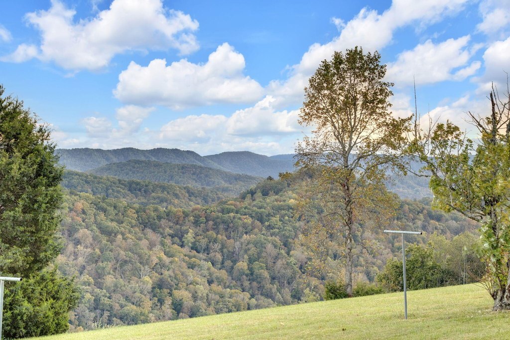 Sneedville, Tennessee, 37869, United States, 4 Bedrooms Bedrooms, ,3 BathroomsBathrooms,Residential,Forsale,1988736