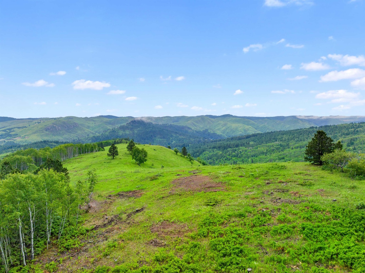 Deadwood, South Dakota, 57732, United States, ,Land,Forsale,1990702