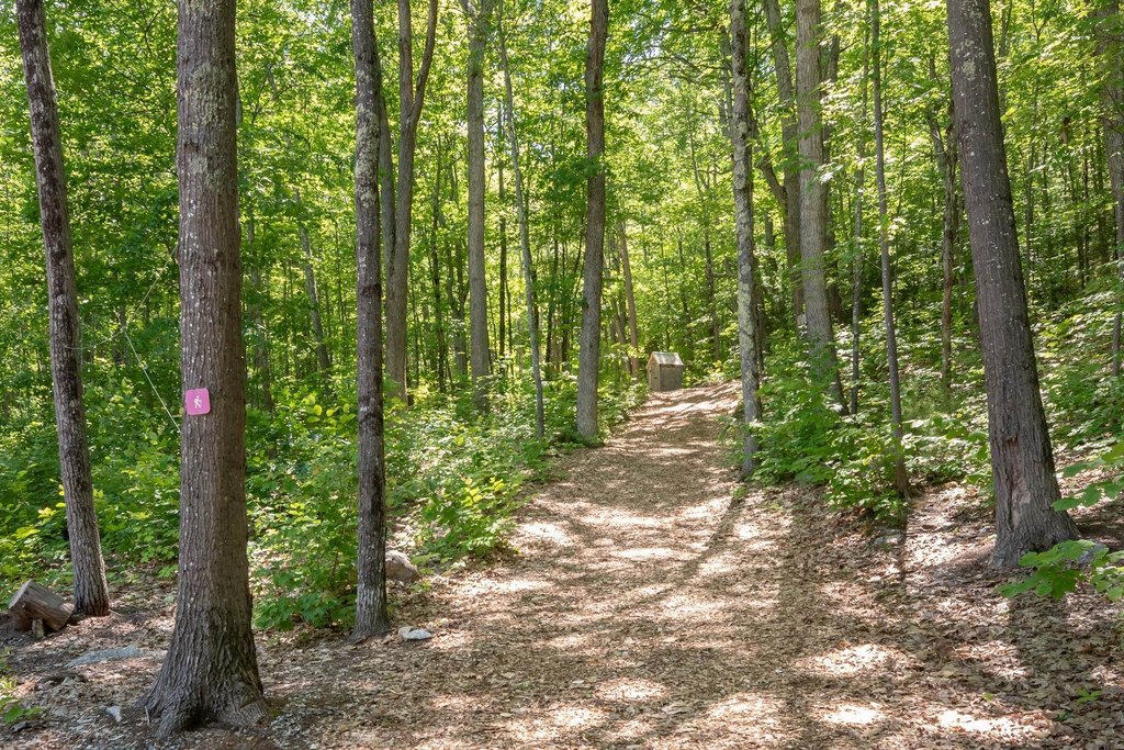 Laconia, New Hampshire, 03246, United States, 3 Bedrooms Bedrooms, ,2 BathroomsBathrooms,Residential,Forsale,2004705