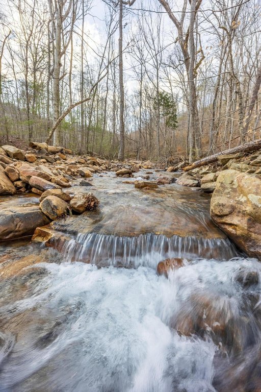 Pikeville, Tennessee, 37367, United States, ,Land,Forsale,2004680