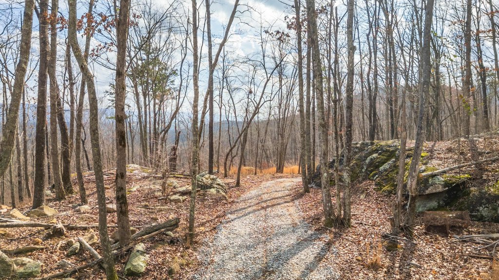 Pikeville, Tennessee, 37367, United States, ,Land,Forsale,2004680