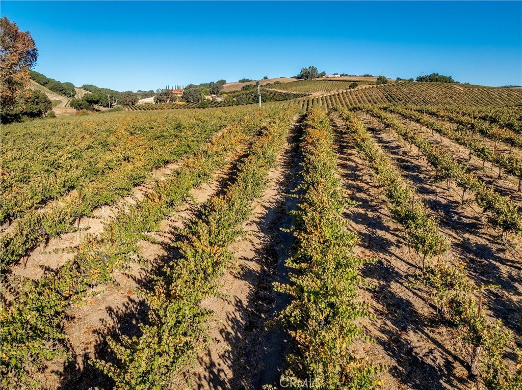 Paso Robles, California, 93446, United States, ,Land,Forsale,1997699