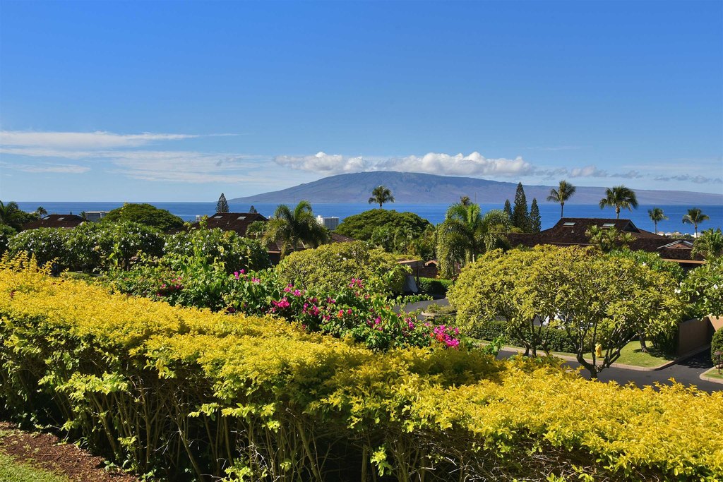 Lahaina, Hawaii, 96761, United States, 1 Bedroom Bedrooms, ,1 BathroomBathrooms,Residential,Forsale,2004551