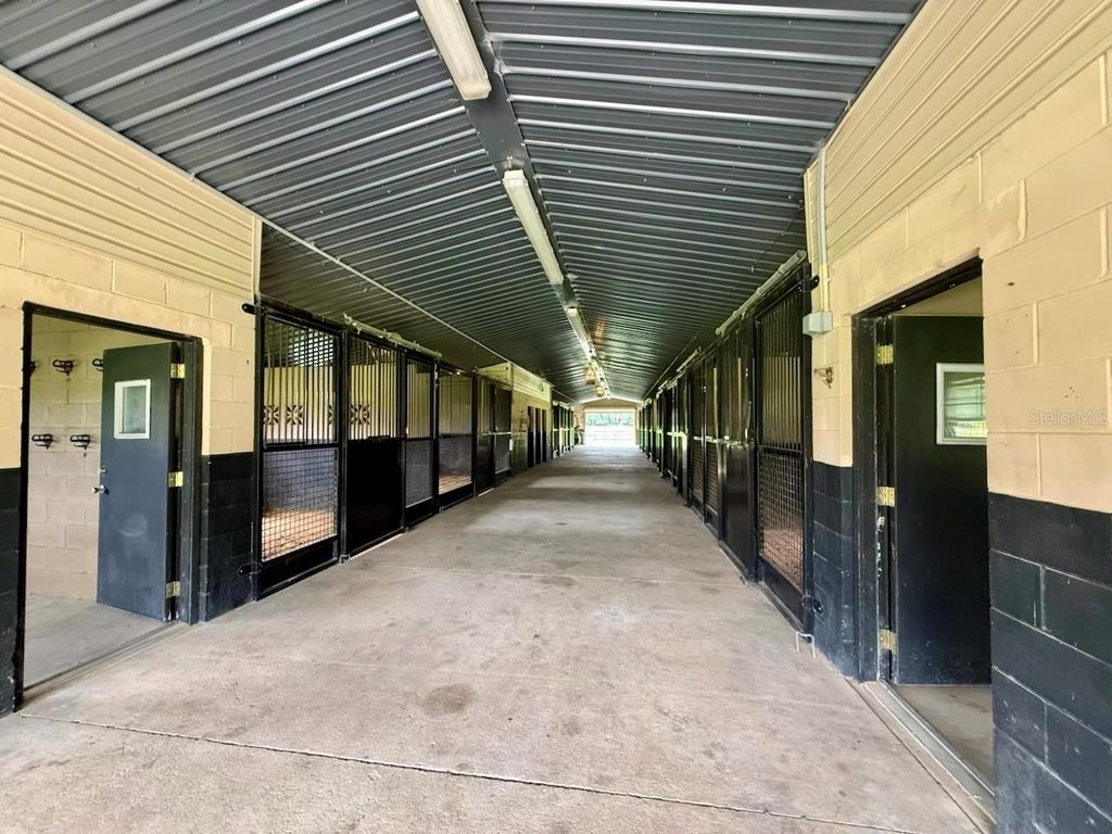 WILLISTON, Florida, 32696, United States, 3 Bedrooms Bedrooms, ,2 BathroomsBathrooms,Residential,Forsale,1994003