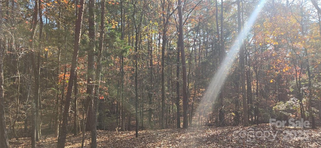 York, South Carolina, 29745, United States, ,Land,Forsale,2007722