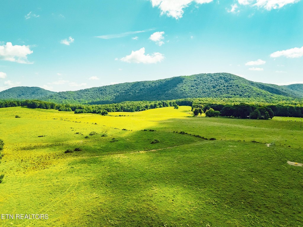 Sunbright, Tennessee, 37872, United States, ,Land,Forsale,1910240