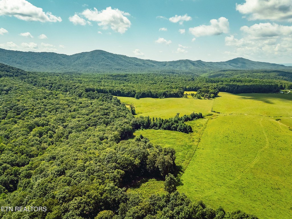 Sunbright, Tennessee, 37872, United States, ,Land,Forsale,1910240