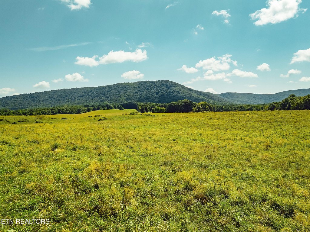 Sunbright, Tennessee, 37872, United States, ,Land,Forsale,1910240