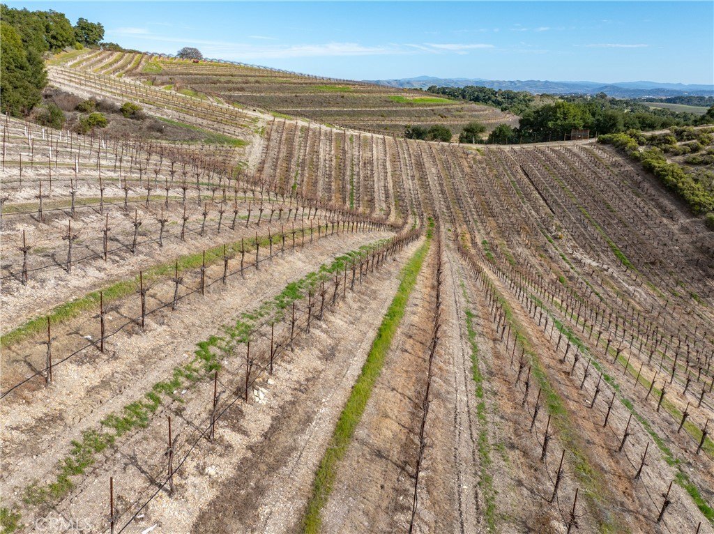 Paso Robles, California, 93446, United States, ,Commercial,Forsale,2009040