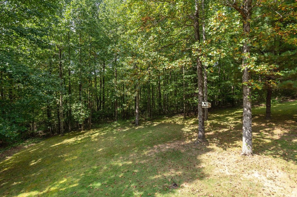 Flat Rock, North Carolina, 28731, United States, 3 Bedrooms Bedrooms, ,3 BathroomsBathrooms,Residential,Forsale,1985995