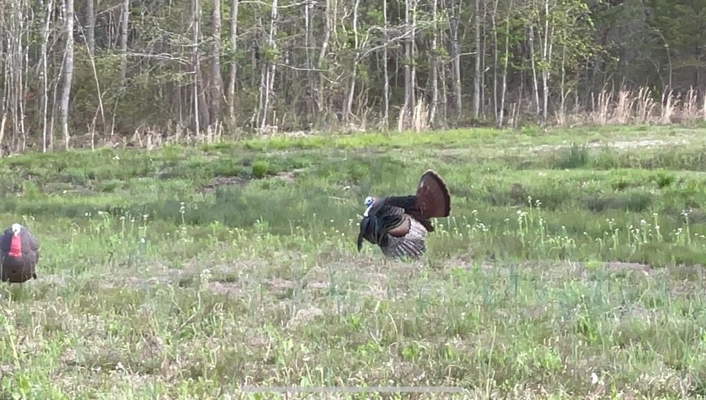 COOKEVILLE, Tennessee, 38501, United States, 3 Bedrooms Bedrooms, ,3 BathroomsBathrooms,Residential,Forsale,1952670