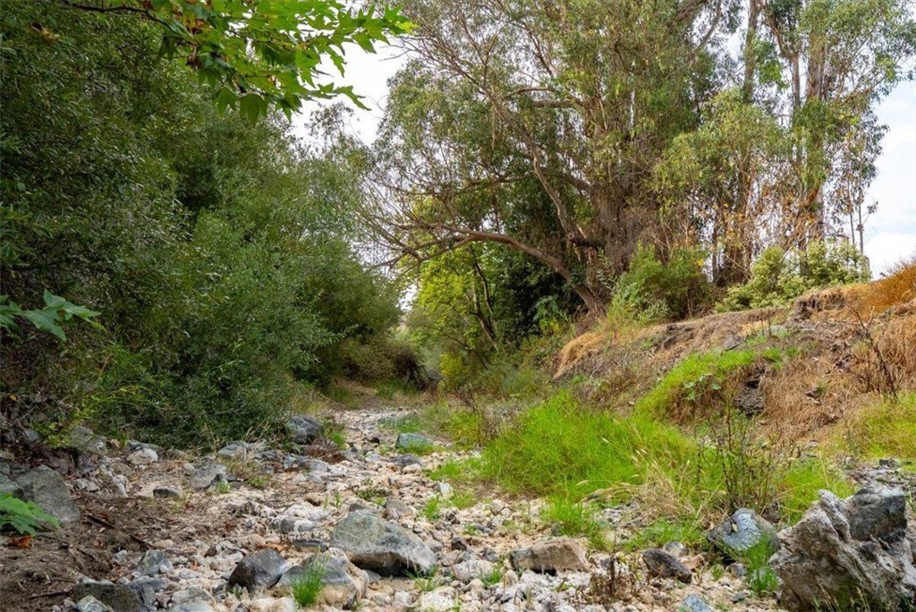 Cayucos, California, 93430, United States, 7 Bedrooms Bedrooms, ,7.5 BathroomsBathrooms,Residential,Forsale,1967186