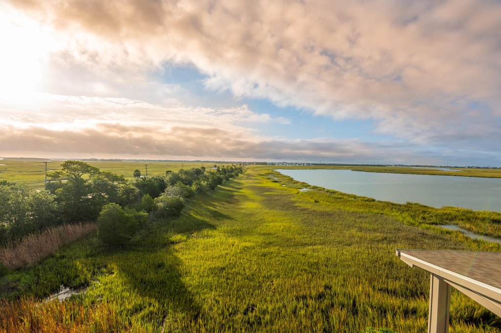 Mount Pleasant, South Carolina, 29464, United States, 4 Bedrooms Bedrooms, ,4 BathroomsBathrooms,Residential,Forsale,1985964