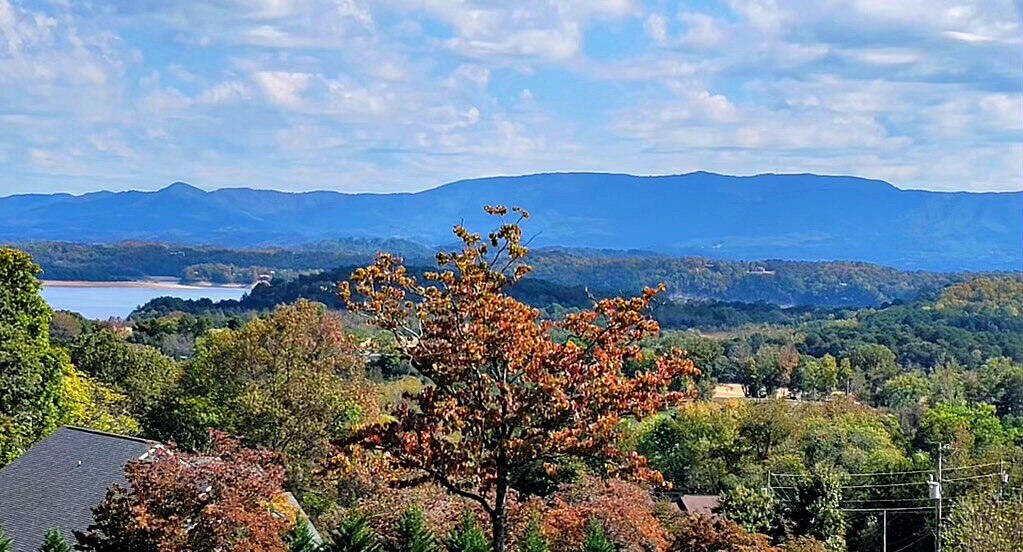 Dandridge, Tennessee, 37725, United States, 3 Bedrooms Bedrooms, ,3 BathroomsBathrooms,Residential,Forsale,1986956