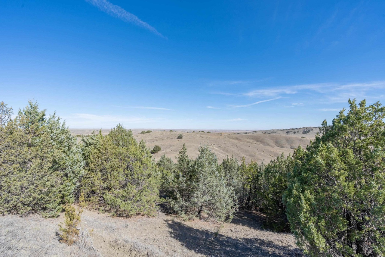 Milesville, South Dakota, 57553, United States, 4 Bedrooms Bedrooms, ,4 BathroomsBathrooms,Residential,Forsale,1962262