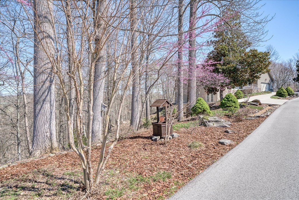 Byrdstown, Tennessee, 38549, United States, 3 Bedrooms Bedrooms, ,3 BathroomsBathrooms,Residential,Forsale,1967348