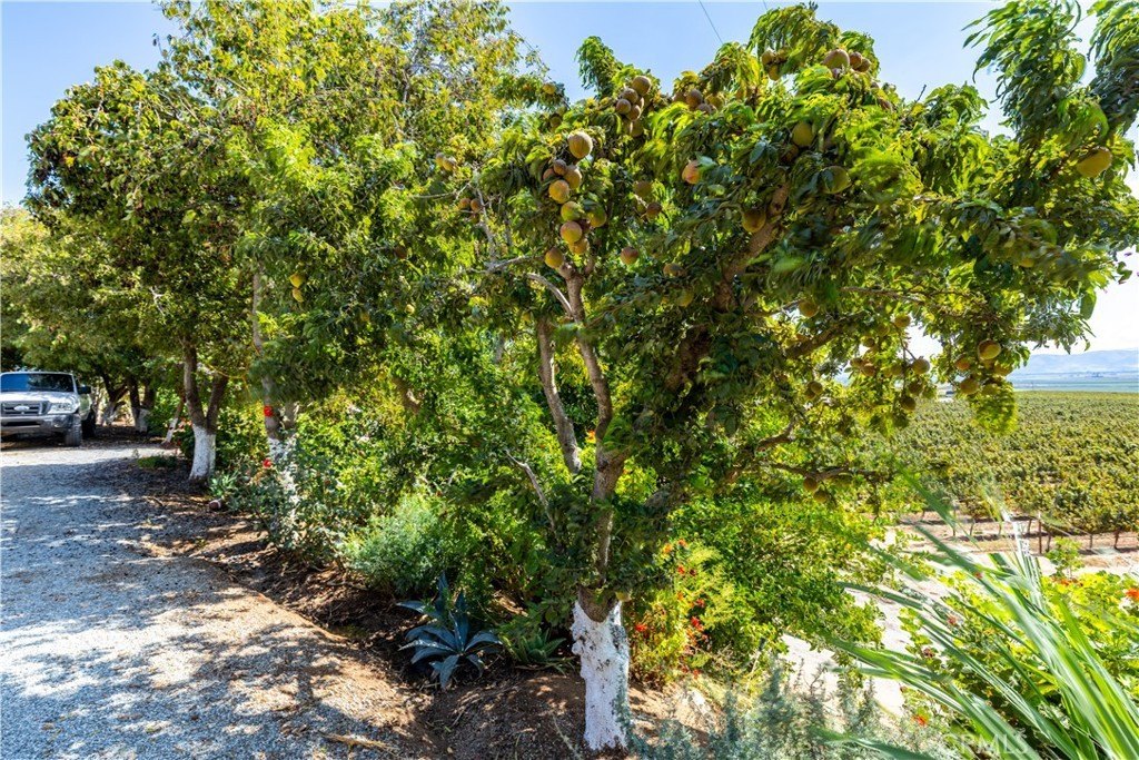 Soledad, California, 93960, United States, 3 Bedrooms Bedrooms, ,2 BathroomsBathrooms,Residential,Forsale,1997692