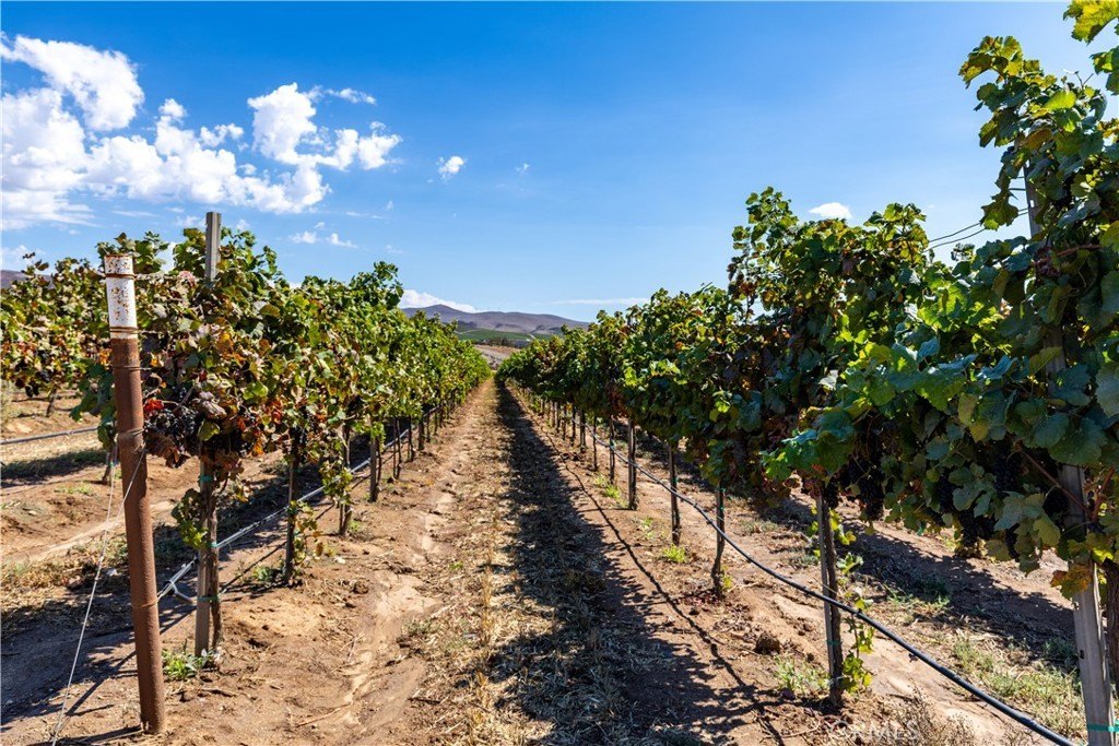 Soledad, California, 93960, United States, 3 Bedrooms Bedrooms, ,2 BathroomsBathrooms,Residential,Forsale,1997692