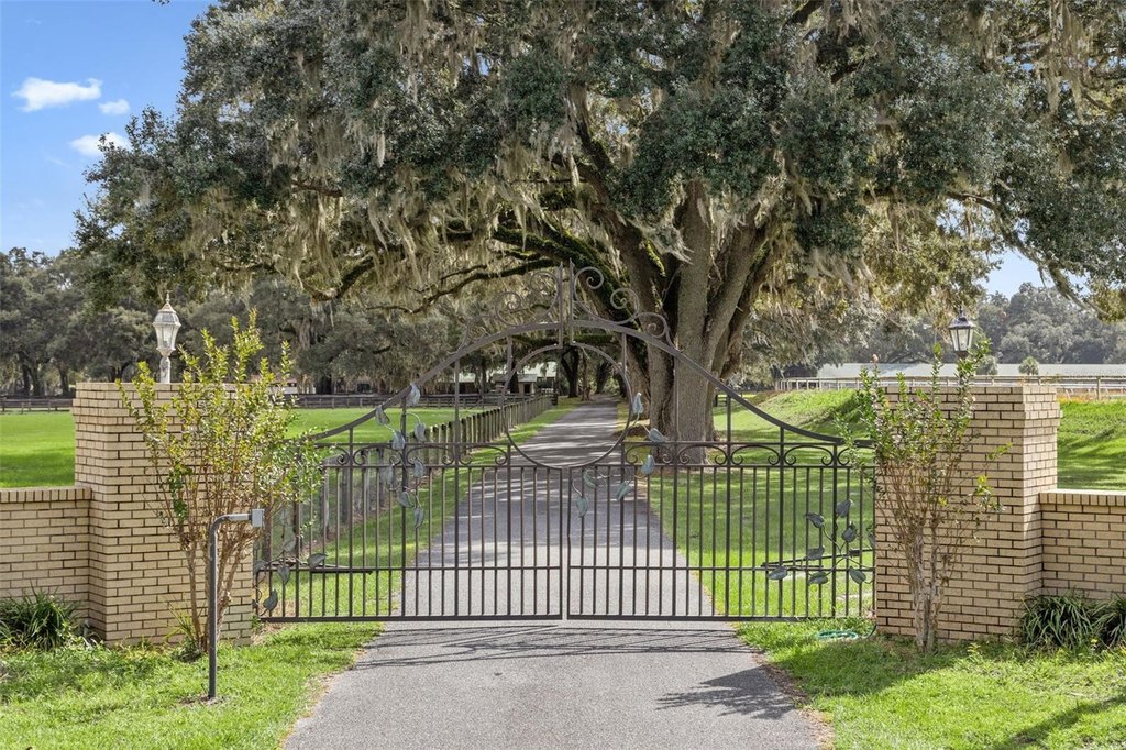 WILLISTON, Florida, 32696, United States, ,Commercial,Forsale,2004593