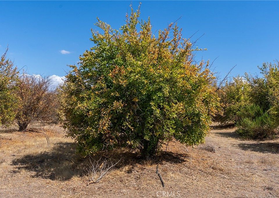 Paso Robles, California, 93446, United States, ,Land,Forsale,1967196