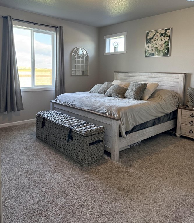 West Richland, Washington, 99353, United States, 4 Bedrooms Bedrooms, ,2 BathroomsBathrooms,Residential,Forsale,1990697