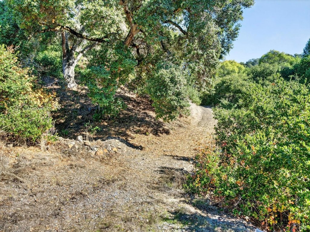 Santa Rosa, California, 95404, United States, ,Land,Forsale,1985925