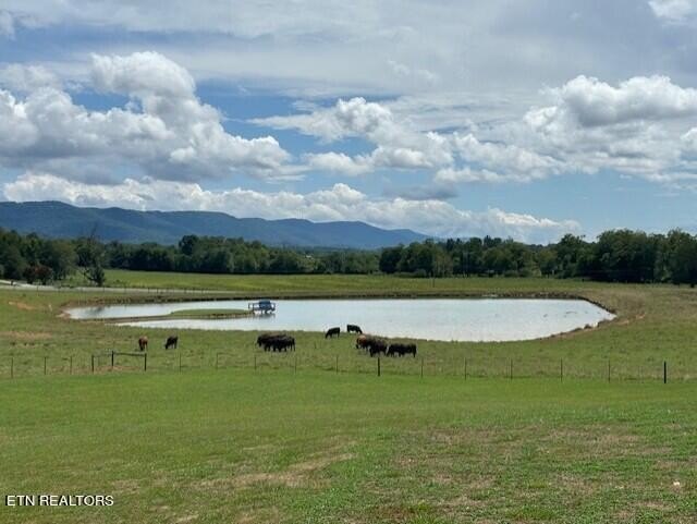 Pikeville, Tennessee, 37367, United States, 5 Bedrooms Bedrooms, ,5.5 BathroomsBathrooms,Residential,Forsale,1929853