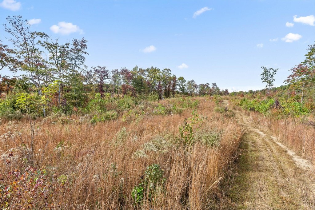 Spencer, Tennessee, 38585, United States, ,Land,Forsale,2009589