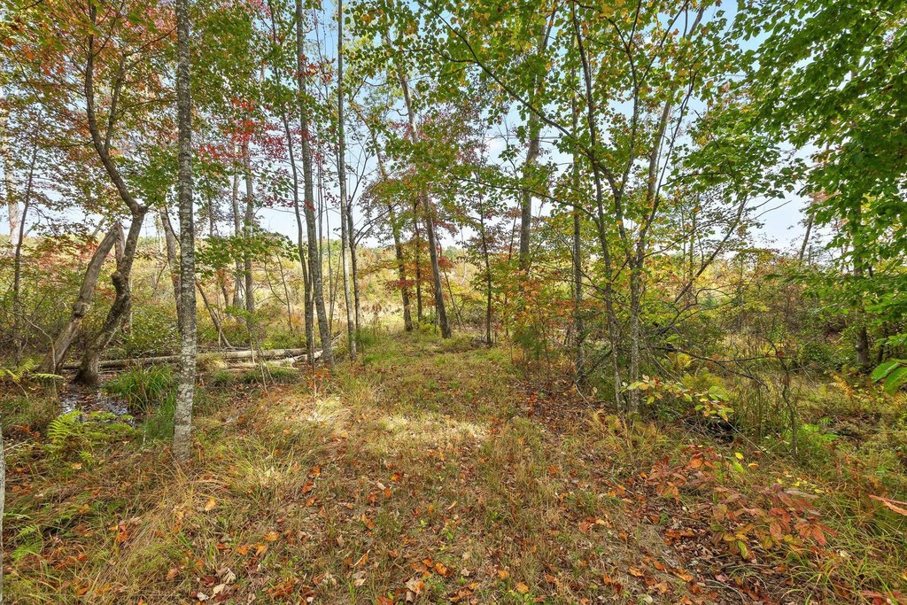 Spencer, Tennessee, 38585, United States, ,Land,Forsale,2009589