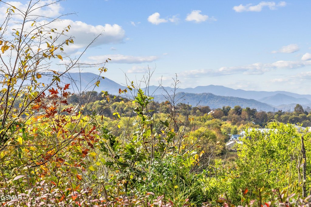 Sevierville, Tennessee, 37862, United States, 4 Bedrooms Bedrooms, ,3.5 BathroomsBathrooms,Residential,Forsale,1942459