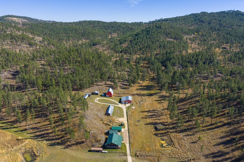 Custer, South Dakota, 57730, United States, 4 Bedrooms Bedrooms, ,2 BathroomsBathrooms,Residential,Forsale,1990710