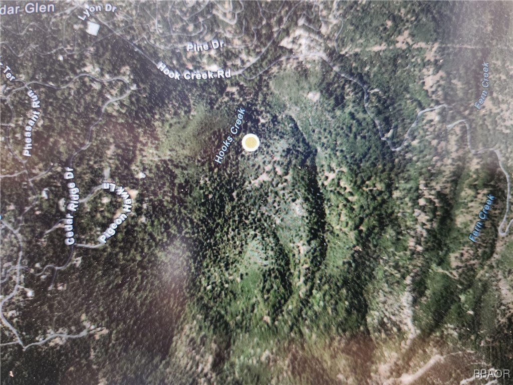 Cedar Glen, California, 92321, United States, ,Land,Forsale,2004858