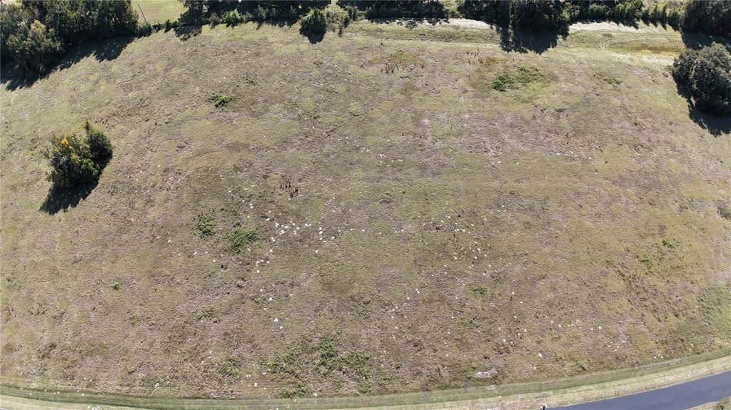 OCALA, Florida, 34482, United States, ,Land,Forsale,1994133