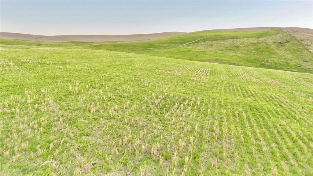 Shandon, California, 93461, United States, ,Land,Forsale,2004821