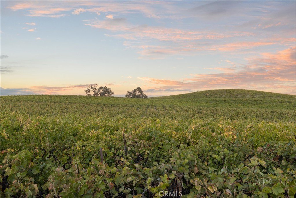 Paso Robles, California, 93446, United States, ,Land,Forsale,1997699