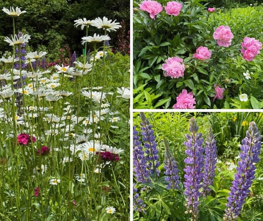 Williston, Vermont, 05495, United States, 2 Bedrooms Bedrooms, ,2 BathroomsBathrooms,Residential,Forsale,1999493