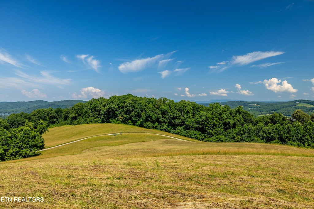 Maynardville, Tennessee, 37807, United States, ,Land,Forsale,2012725
