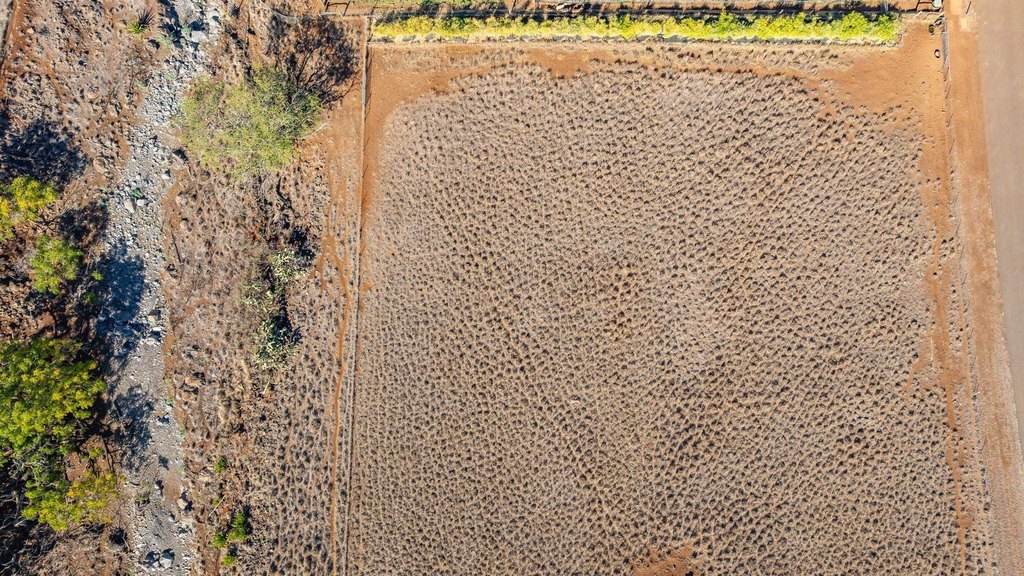 Kula, Hawaii, 96790, United States, ,Land,Forsale,2004556