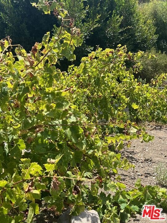 Malibu, California, 90265, United States, ,Land,Forsale,2001392