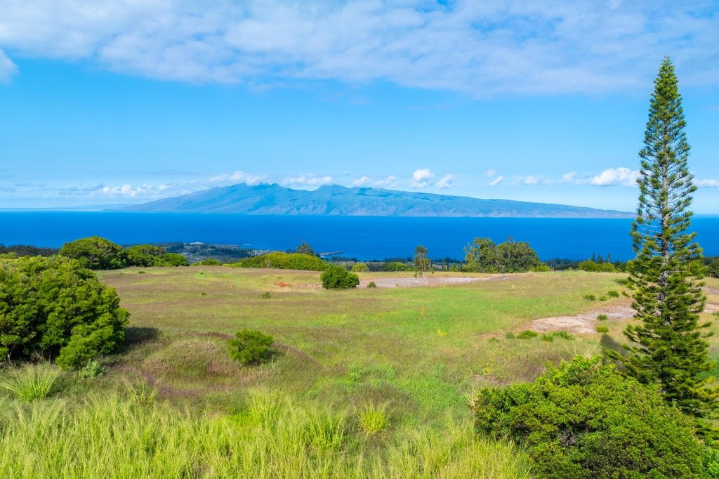 Lahaina, Hawaii, 96761, United States, ,Land,Forsale,2009551