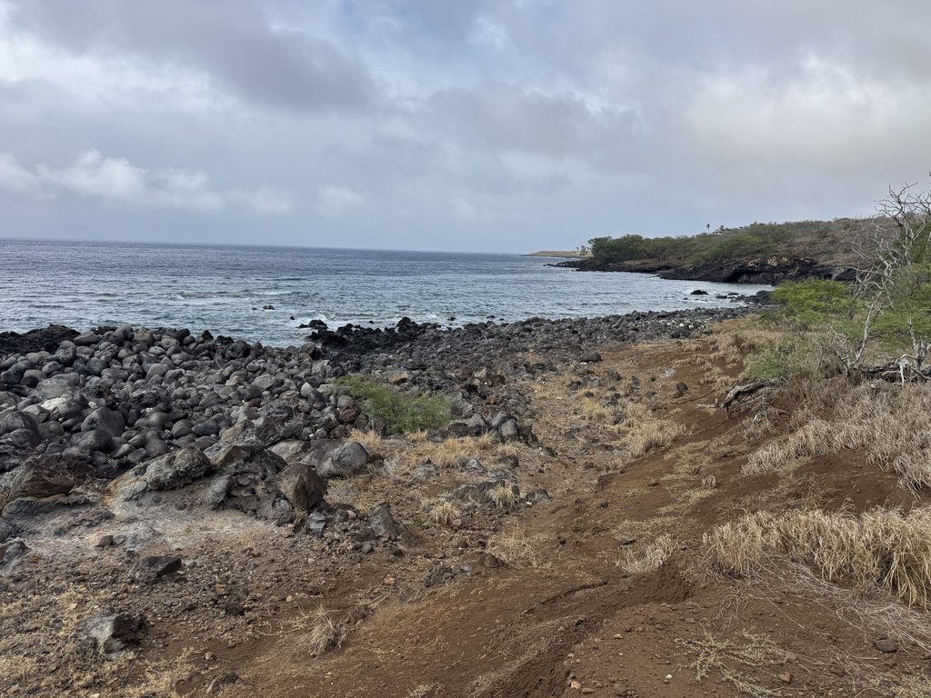 Hawi, Hawaii, 96719, United States, ,Land,Forsale,1886637